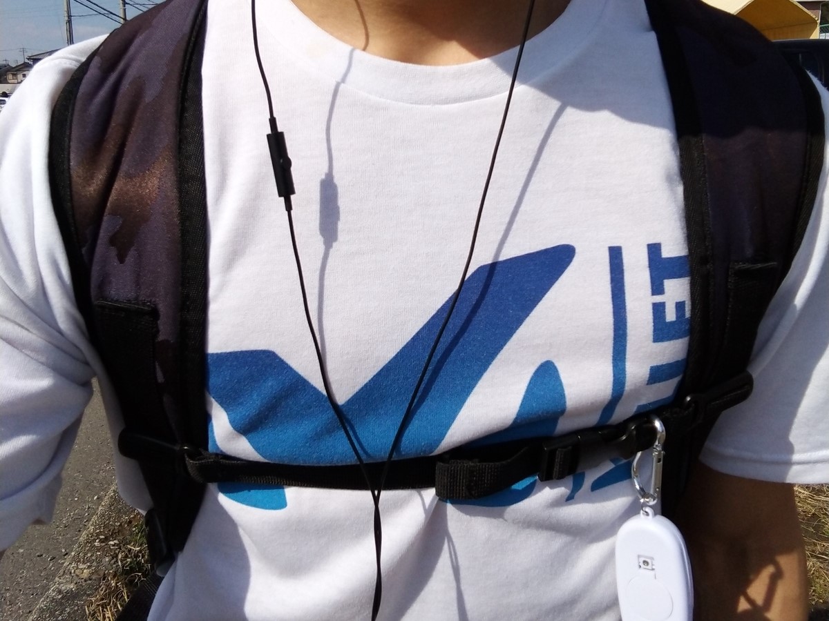 f:id:tebasaki-penguin:20190628171534j:plain