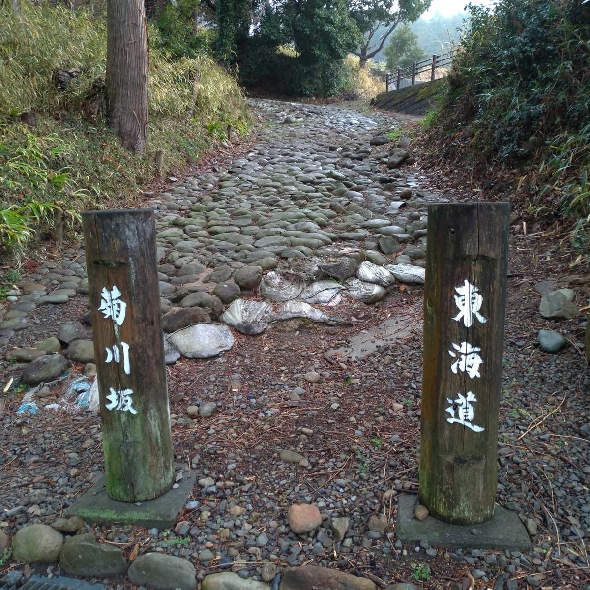 f:id:tebasaki-penguin:20190629182226j:plain f:id:tebasaki-penguin:20190629182226j:plain