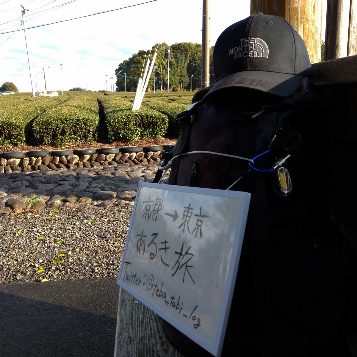 f:id:tebasaki-penguin:20190629183319j:plain f:id:tebasaki-penguin:20190629183319j:plain