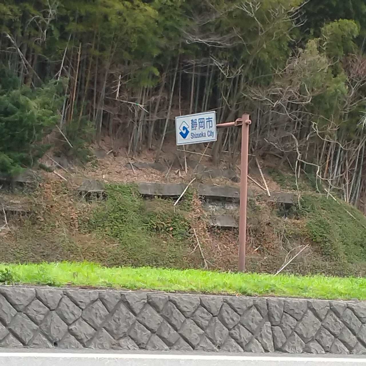 f:id:tebasaki-penguin:20190629200957j:plain f:id:tebasaki-penguin:20190629200957j:plain