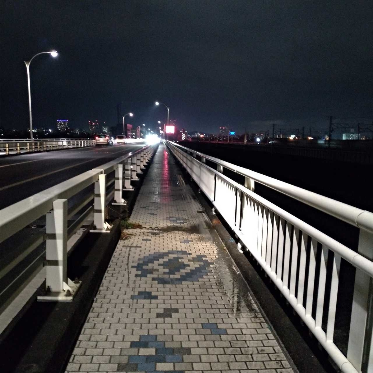 f:id:tebasaki-penguin:20190629202013j:plain f:id:tebasaki-penguin:20190629202013j:plain
