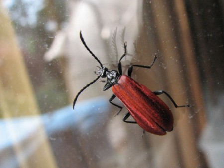f:id:tebike:20120530133040j:image