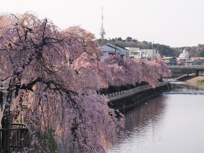 f:id:tebukuro-ouji:20220418142008j:plain