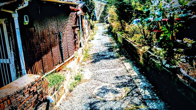 f:id:teburax:20200129193356j:image f:id:teburax:20200129193356j:image