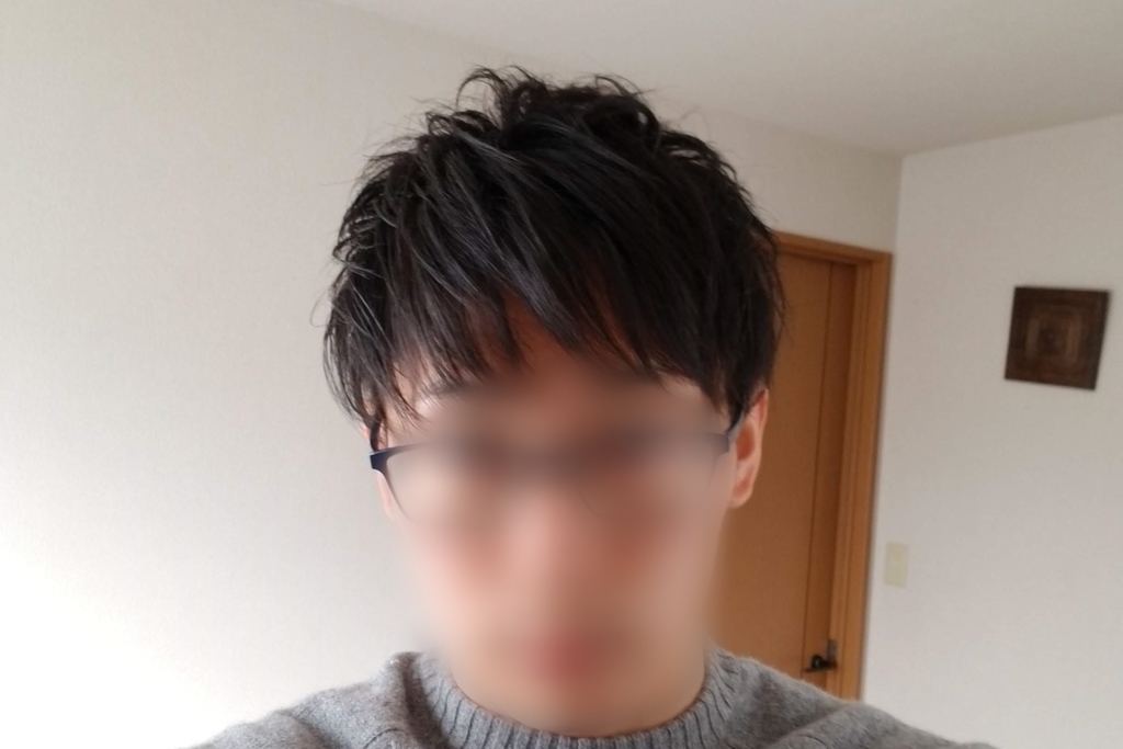 f:id:tec8239:20190103231734j:plain