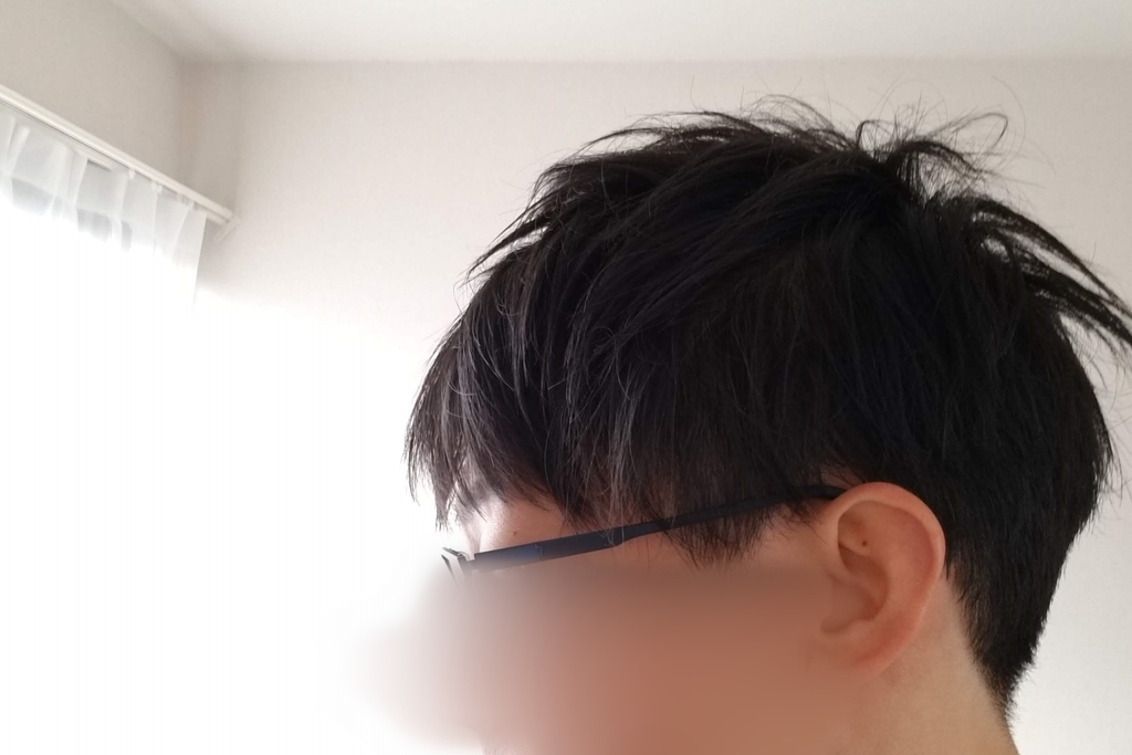 f:id:tec8239:20190103231739j:plain