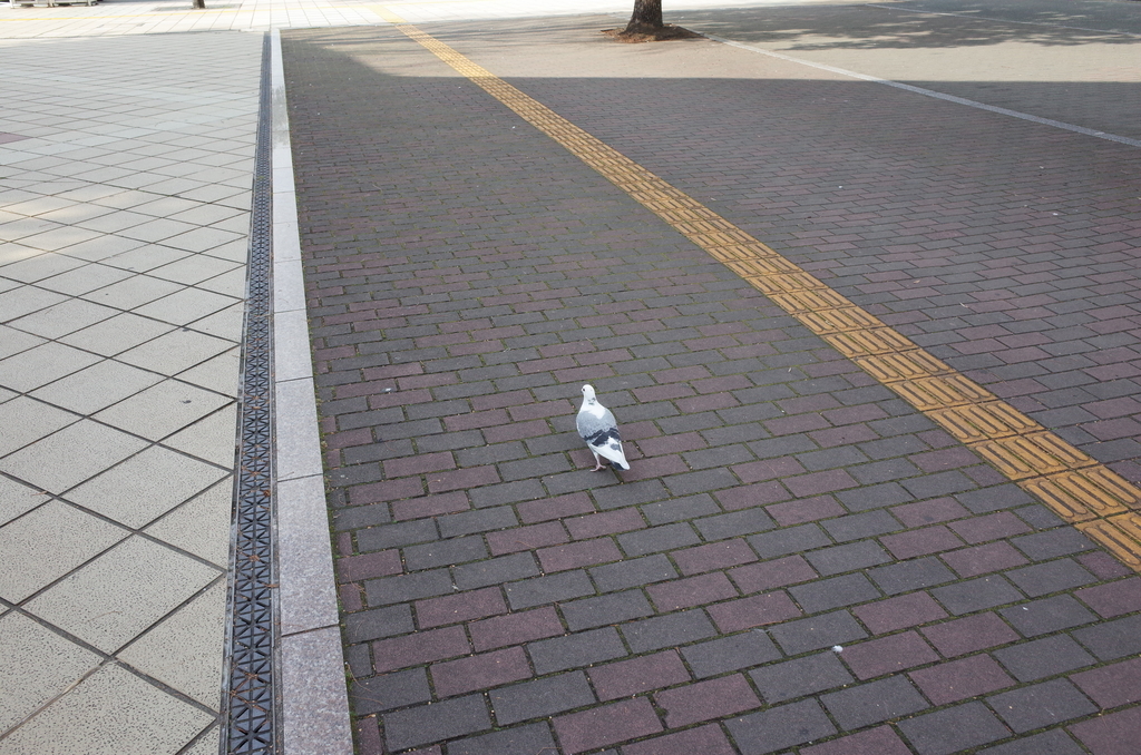 f:id:tec8239:20190211103703j:plain