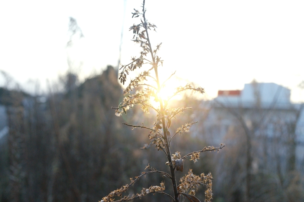 f:id:tec8239:20190211103957j:plain