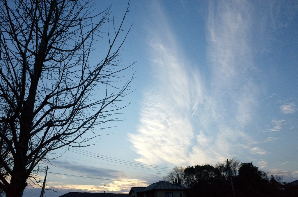f:id:tec8239:20190211104114j:plain