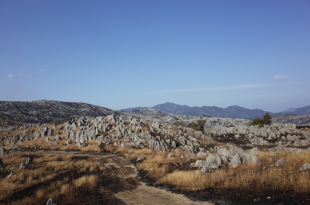 f:id:tec8239:20190219210731j:plain
