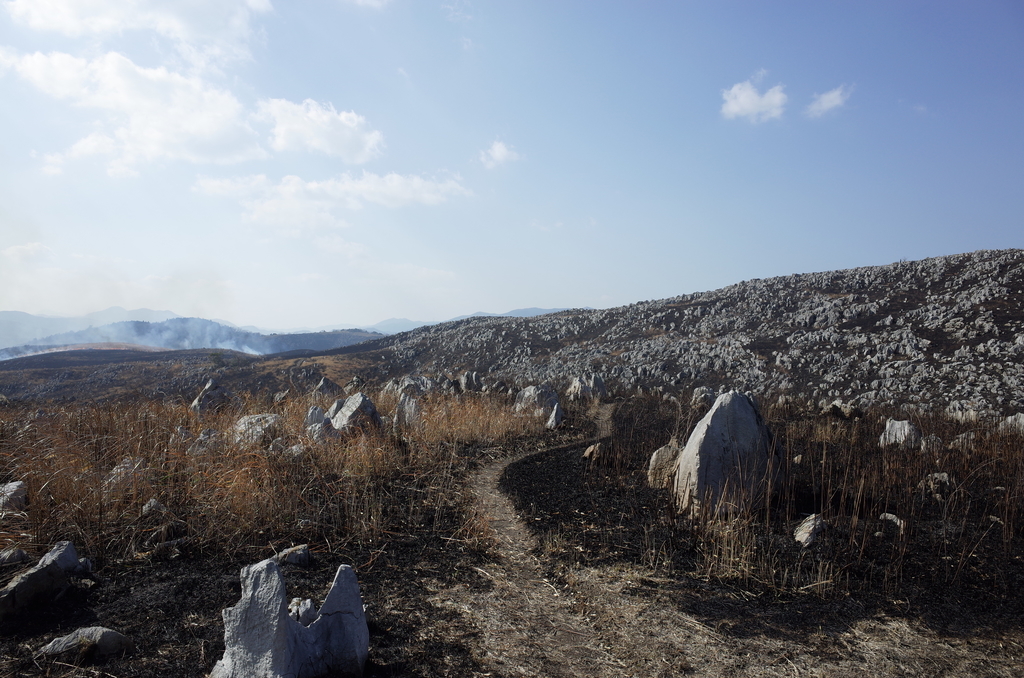 f:id:tec8239:20190219210804j:plain