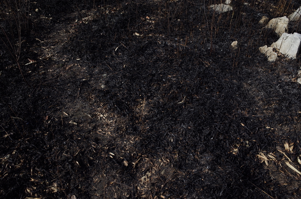 f:id:tec8239:20190219210905j:plain