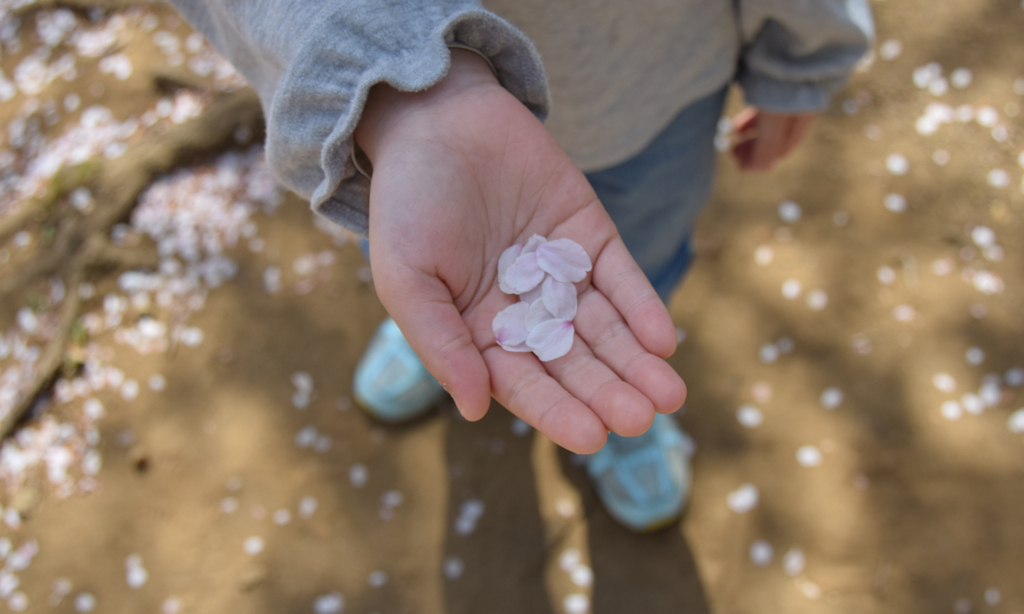 f:id:tech-hiro-saionji:20180402093455j:plain f:id:tech-hiro-saionji:20180402093455j:plain