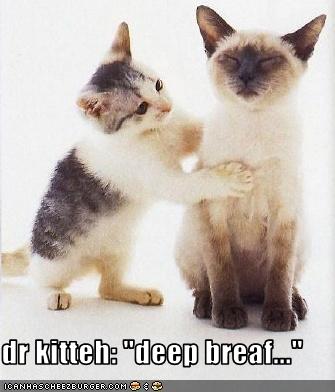 f:id:tech-writer:20100809011202j:image f:id:tech-writer:20100809011202j:image