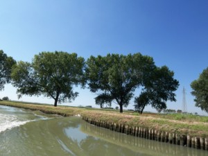f:id:tech_k:20110612214529j:image f:id:tech_k:20110612214529j:image
