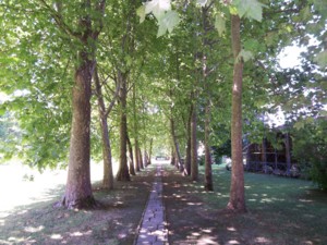 f:id:tech_k:20110612220651j:image f:id:tech_k:20110612220651j:image