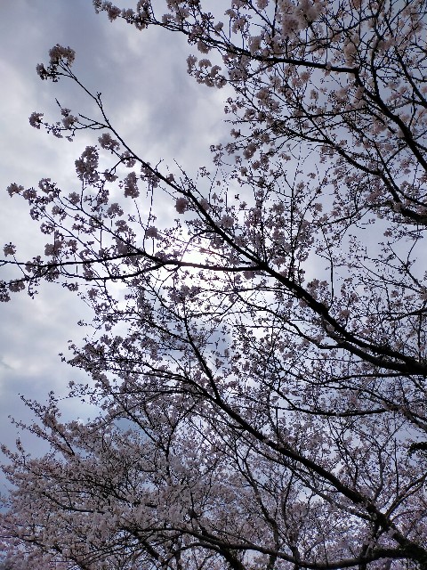 f:id:techan4649:20210328184309j:image f:id:techan4649:20210328184309j:image