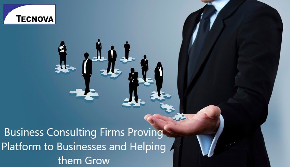 Business Consulting Firms Proving Platform to Businesses and Helping ...