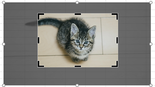 f:id:teco_knd:20201116145045p:plain