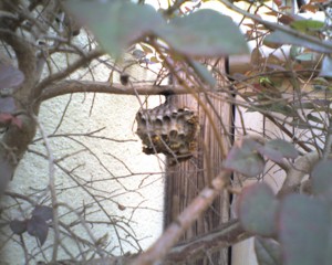 f:id:tecoike:20120710103011j:image