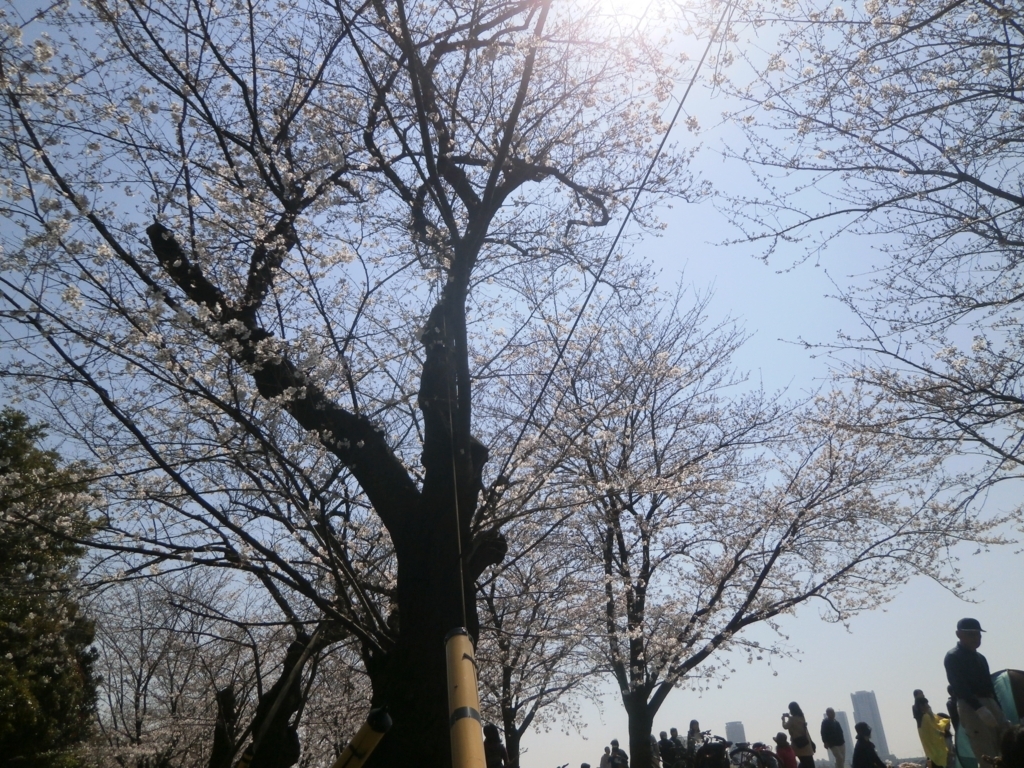f:id:tecs7740:20180324181559j:plain