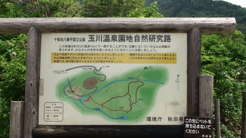 20140715121521(1)