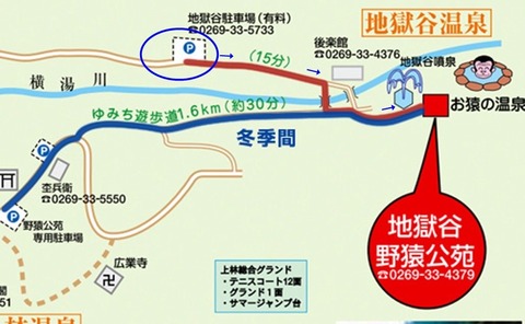 野猿1