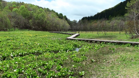 20140517113757(1)