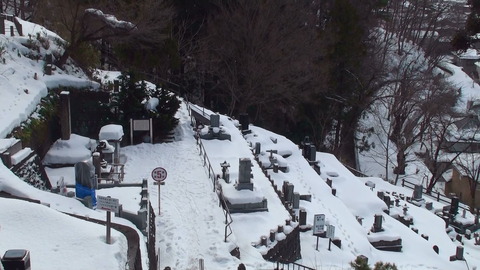 20140129120445(1)
