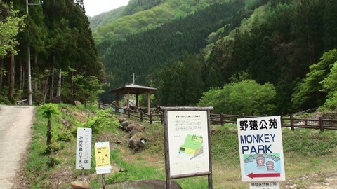 野猿2
