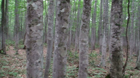 20140713120740(1)