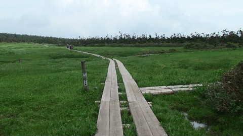 20140714124816(1)