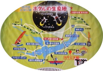 ホタル
