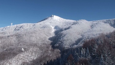 霧氷