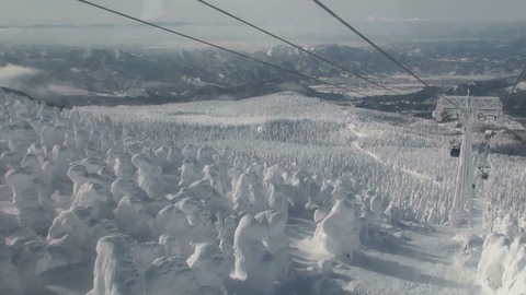 樹氷下り