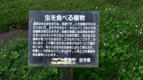 20140714130949(1)