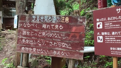 野猿7