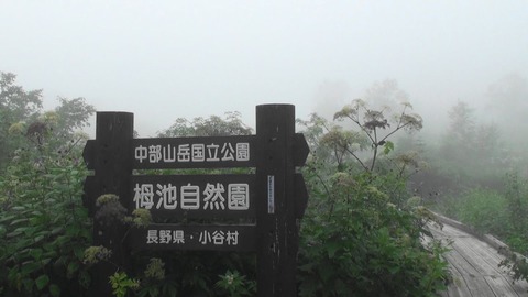 栂池2