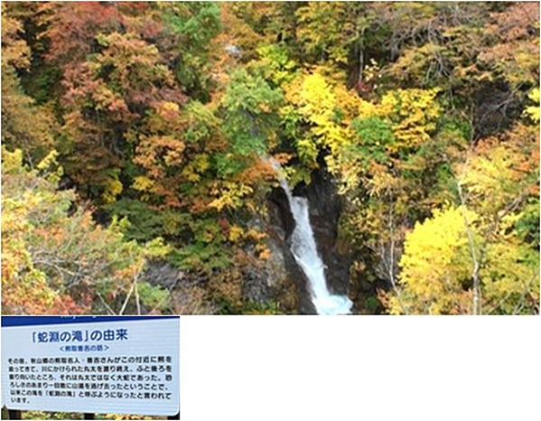 蛇淵