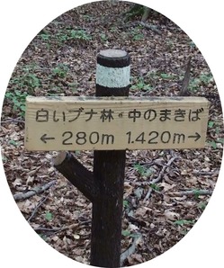 20140713130302(1)
