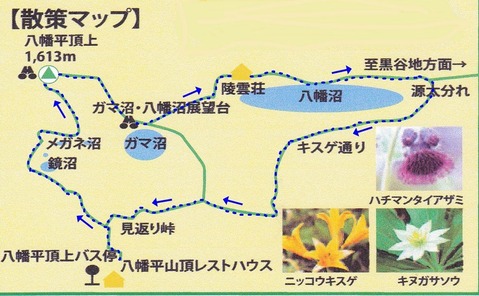 IMG(map）