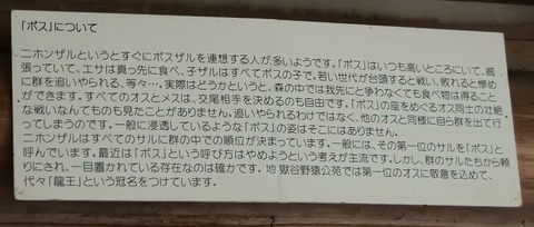 野猿12
