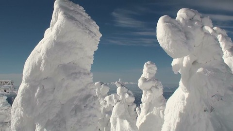 樹氷
