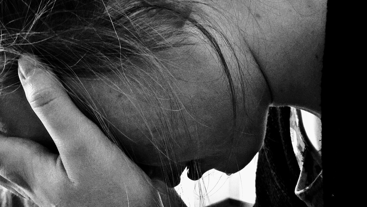 f:id:teddysan-to-hirosan:20190325183552j:plain