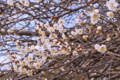 20120311130010