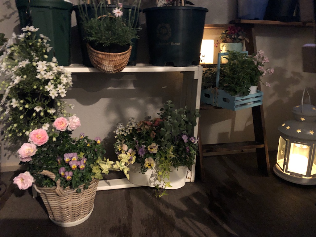 f:id:tef_rose:20190424040942j:image