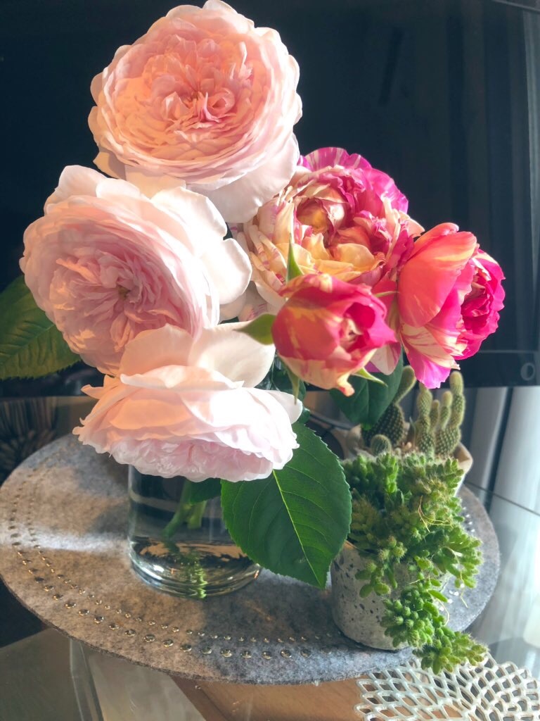 f:id:tef_rose:20190426024721j:image