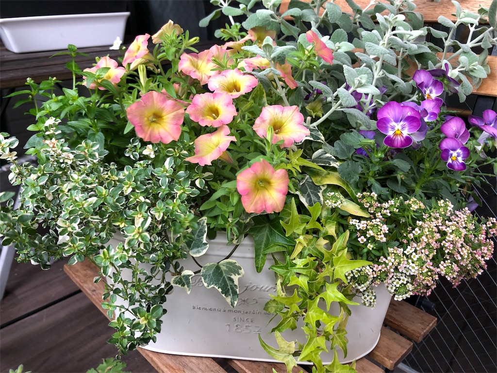 f:id:tef_rose:20190429185834j:image f:id:tef_rose:20190429185834j:image