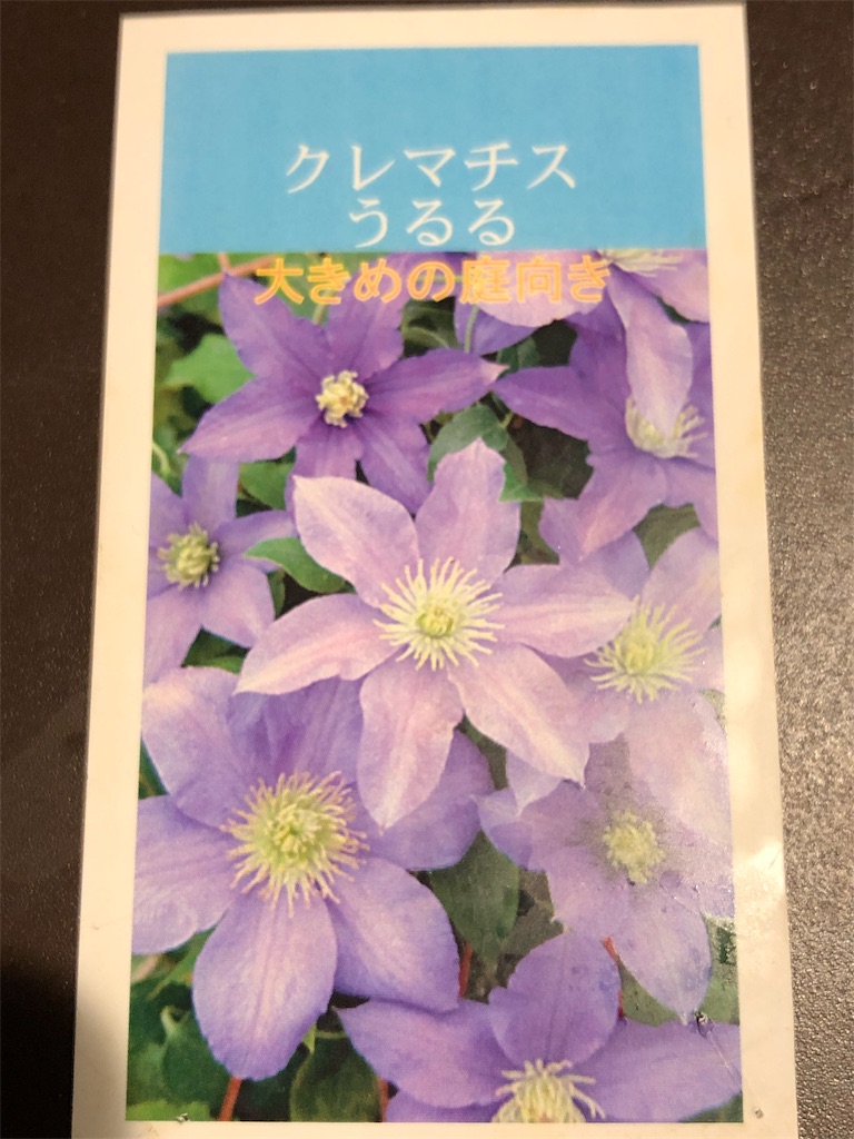 f:id:tef_rose:20190430205457j:image f:id:tef_rose:20190430205457j:image