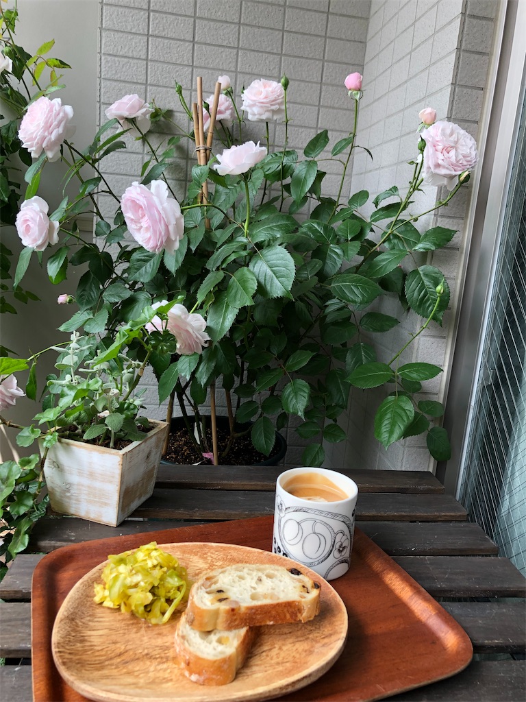 f:id:tef_rose:20190502225429j:image